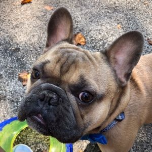 Meet your Posher, Brandon